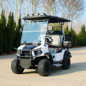 VRF2 2-Seater Electric Golf Cart Compact and Agile Performer