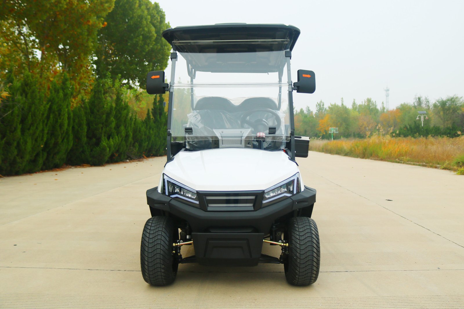 VR-D2+2 4-Seater Electric Golf Cart Enhanced Capacity with Off-Road Capability