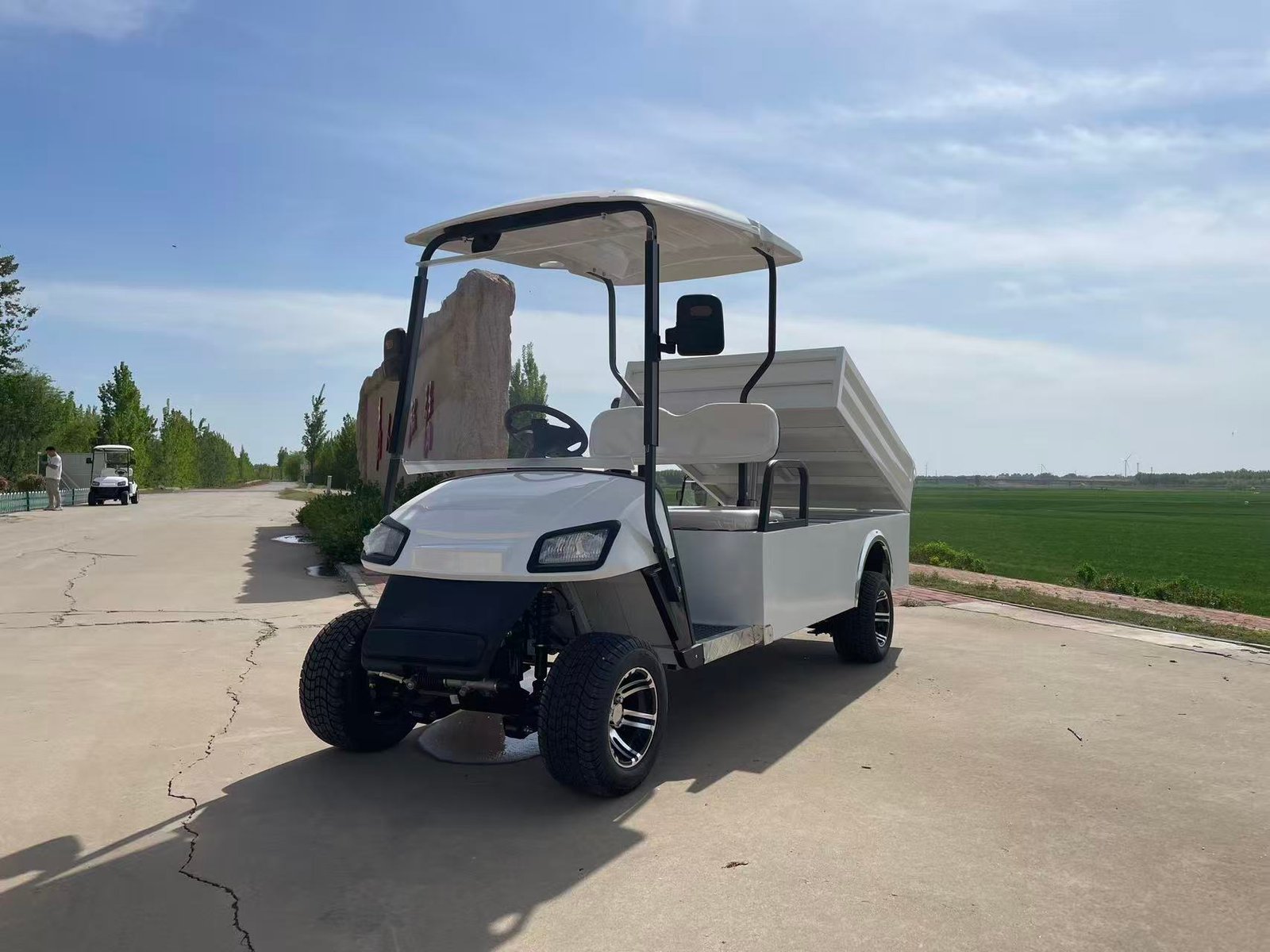 HaulerPro Series Utility Golf Cart – Power and Versatility On and Off the Course - 图片 2