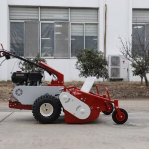 Professional Lawn Mower: Precision Cutting for a Perfect Lawn