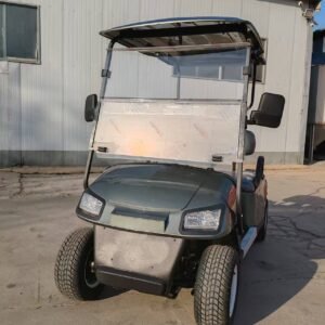 A2 2-Seater Golf Cart