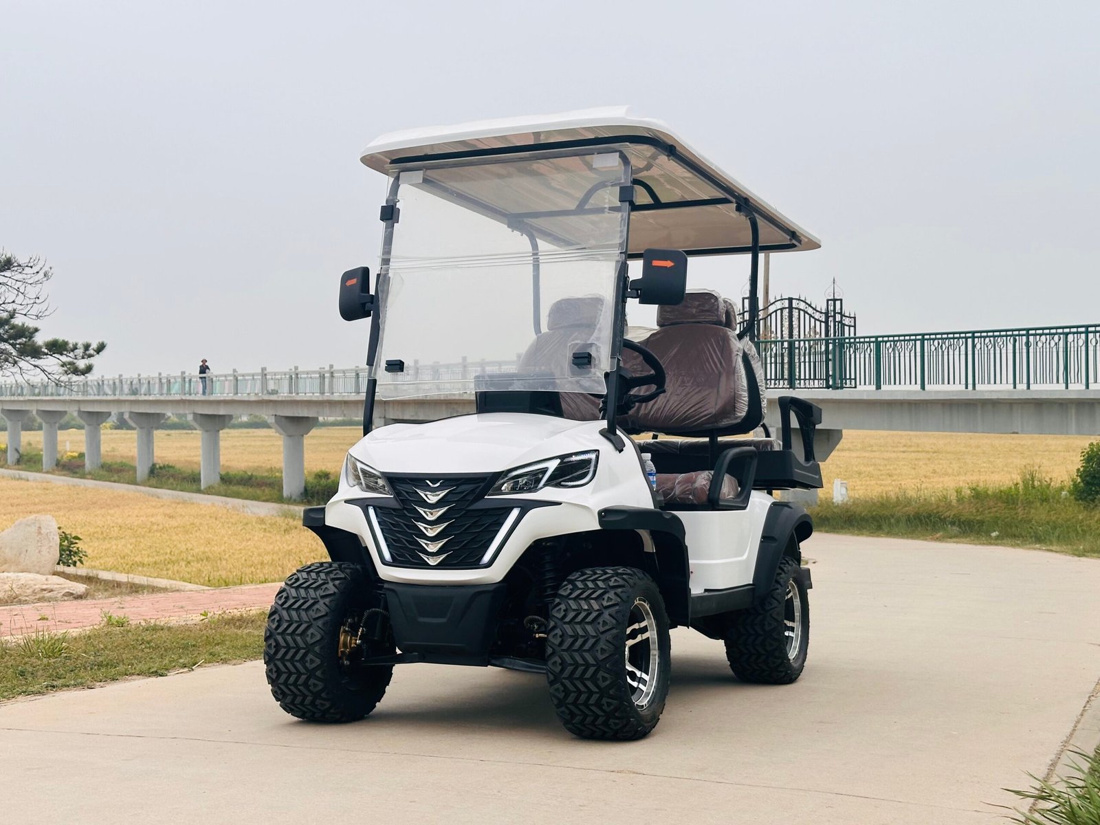 VR-C2+2 4-Seater Electric Golf Cart Versatile All-Terrain Performance - 图片 3