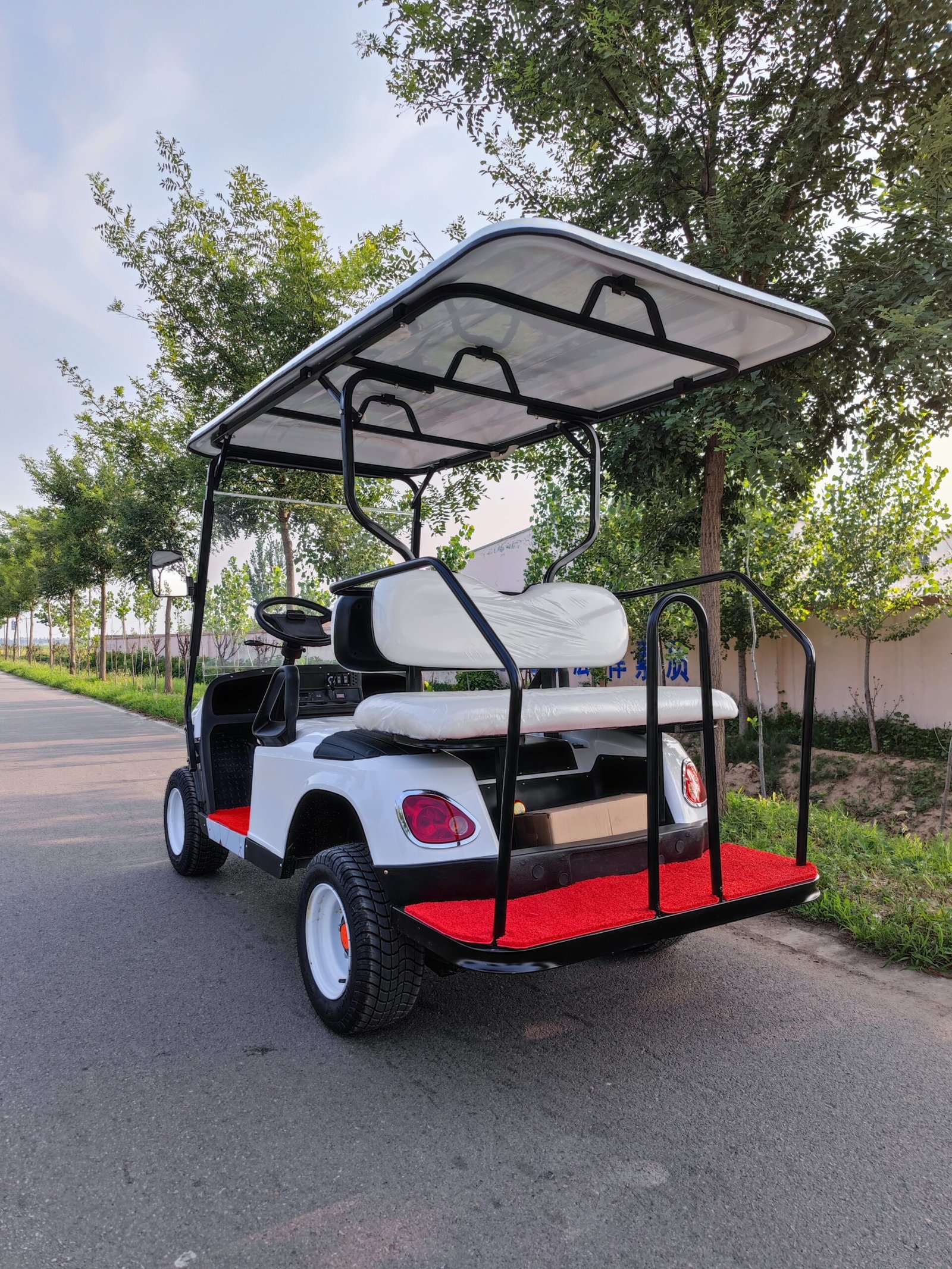 A2+2 4-Seater Electric Golf Cart – Efficient, Spacious Eco-Friendly - 图片 2