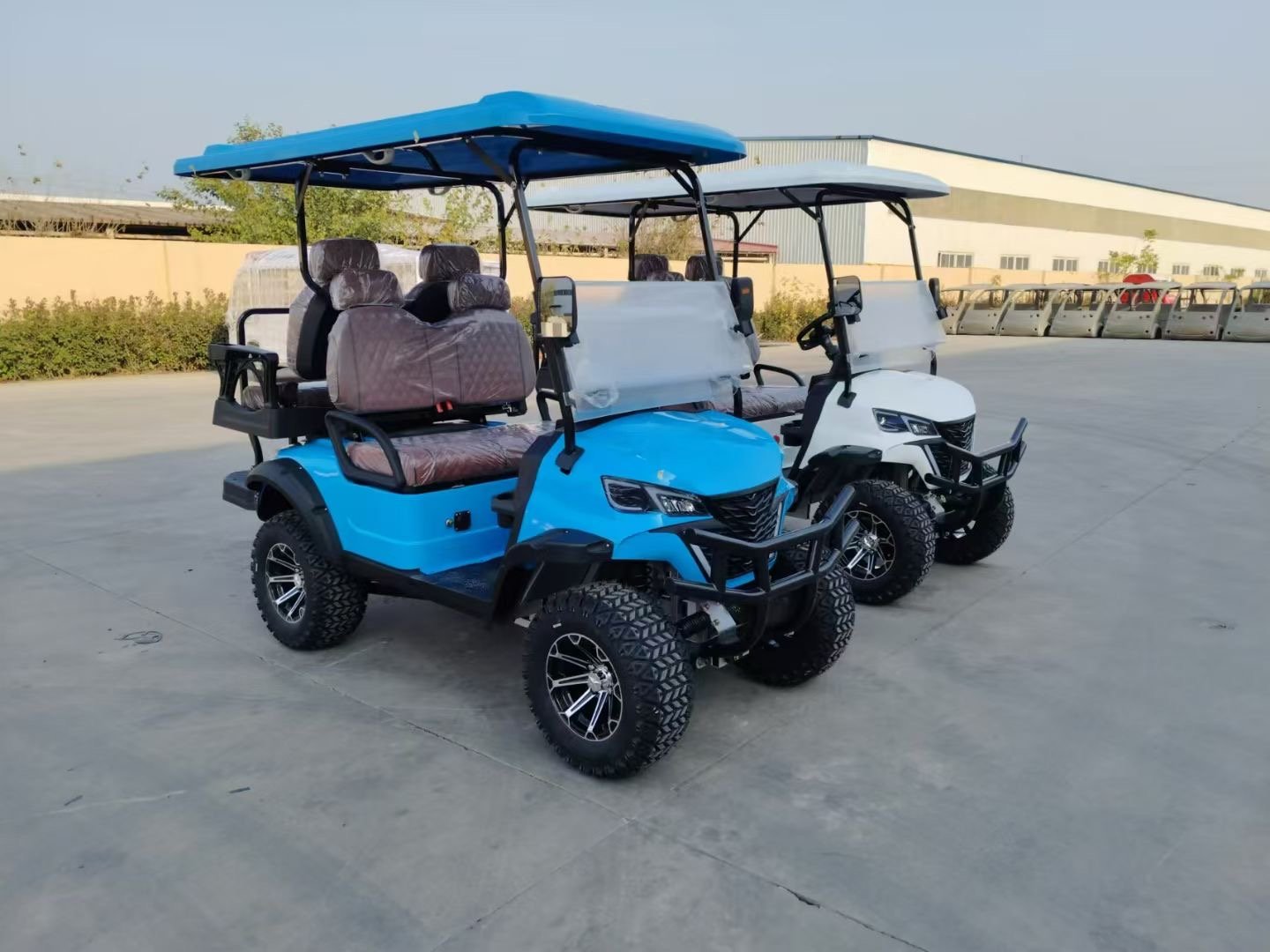 VR-C2+2 4-Seater Electric Golf Cart Versatile All-Terrain Performance - 图片 2