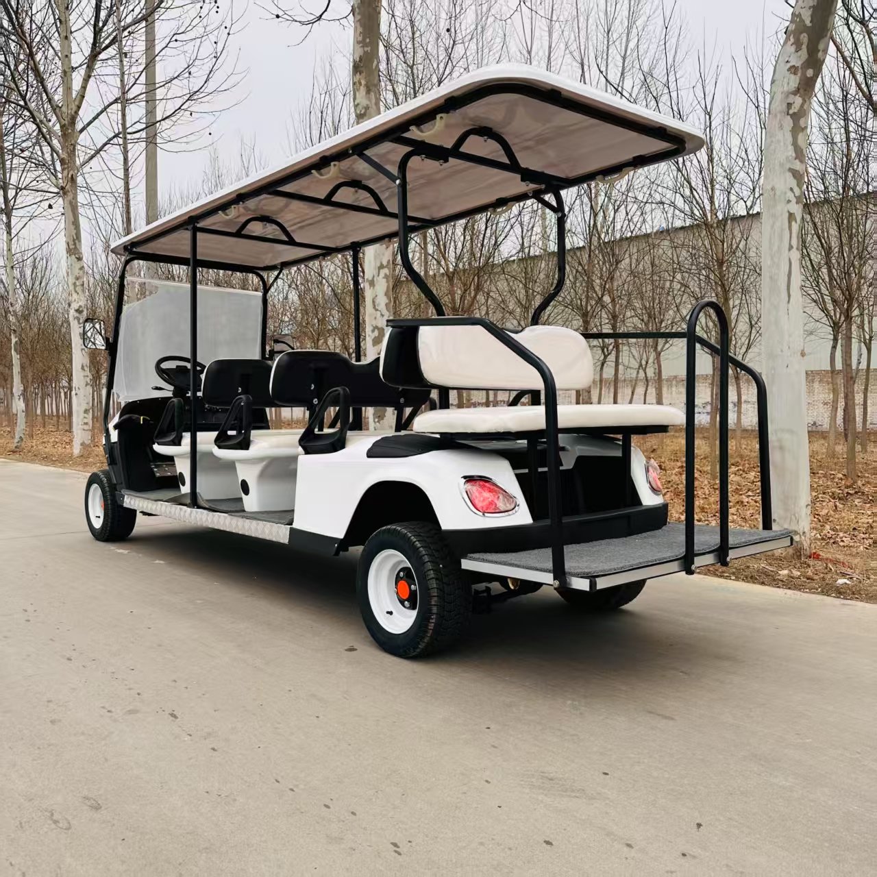 VR-A6+2 8-Seater Electric Golf Cart