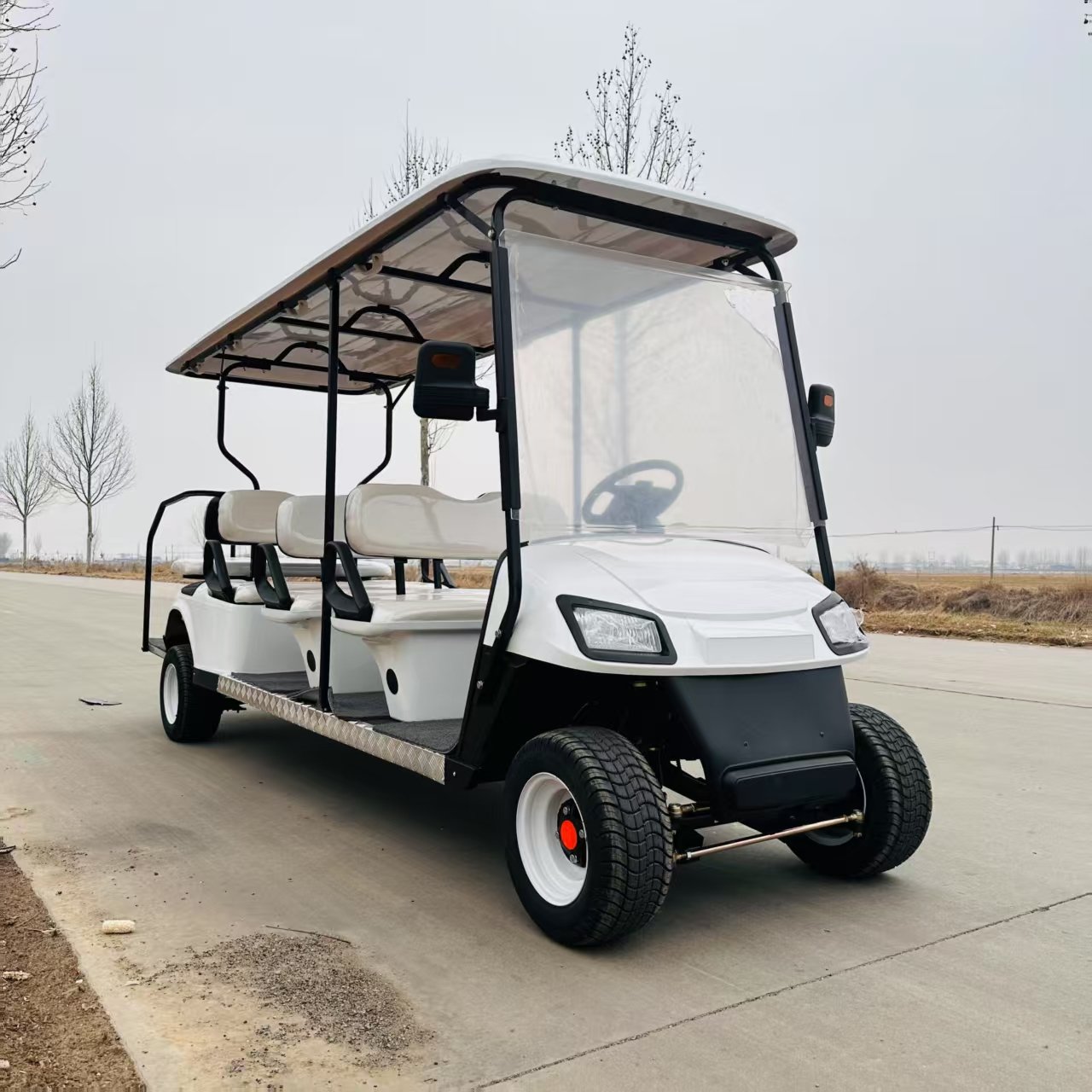 VR-A6+2 8-Seater Electric Golf Cart - 图片 2