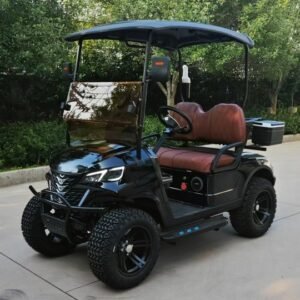 VR-C2 2-Seater Electric Golf Cart Compact, All-Terrain Performance