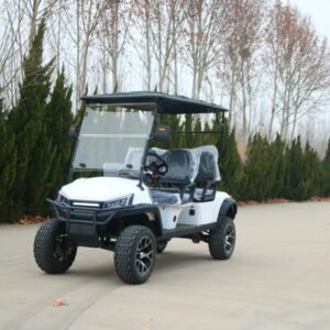 VR-D4 4-Seater Electric Golf Cart Robust Performance for All-Terrain Applications