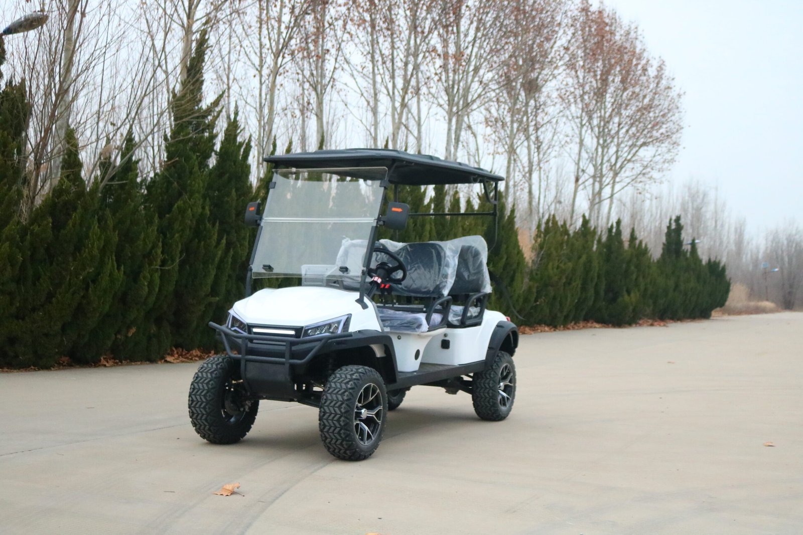 VR-D4 4-Seater Electric Golf Cart Robust Performance for All-Terrain Applications