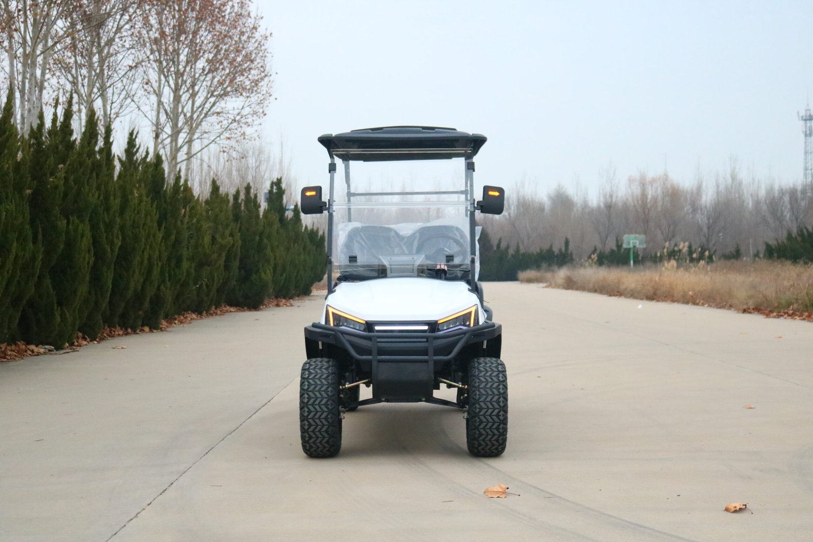 VR-D4 4-Seater Electric Golf Cart Robust Performance for All-Terrain Applications - 图片 2