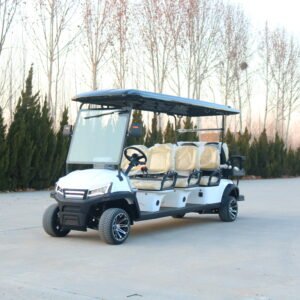 VR-D6+2 8-Seater Electric Golf Cart High-Capacity All-Terrain Solution