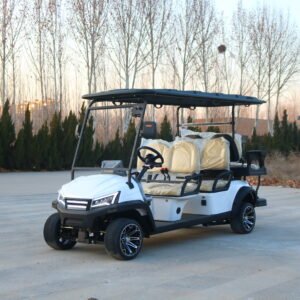 VR-D4+2 6-Seater Electric Golf Cart Enhanced Capacity with All-Terrain Performance