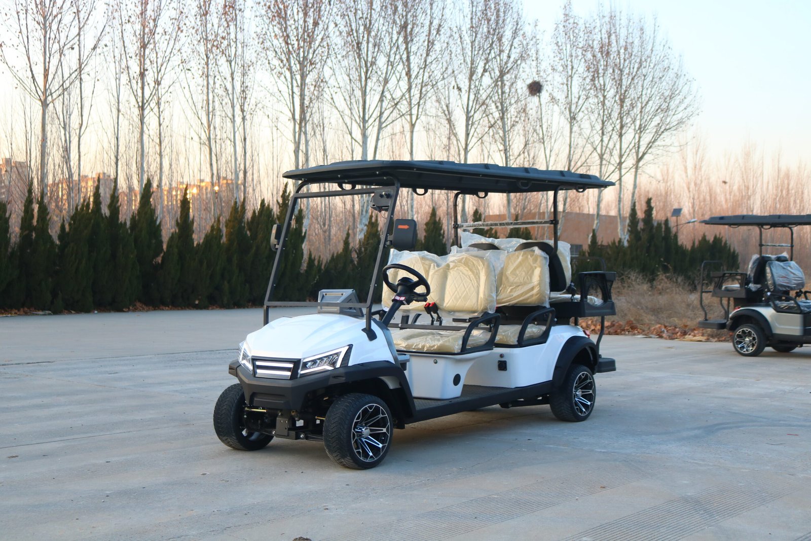 VR-D4+2 6-Seater Electric Golf Cart Enhanced Capacity with All-Terrain Performance