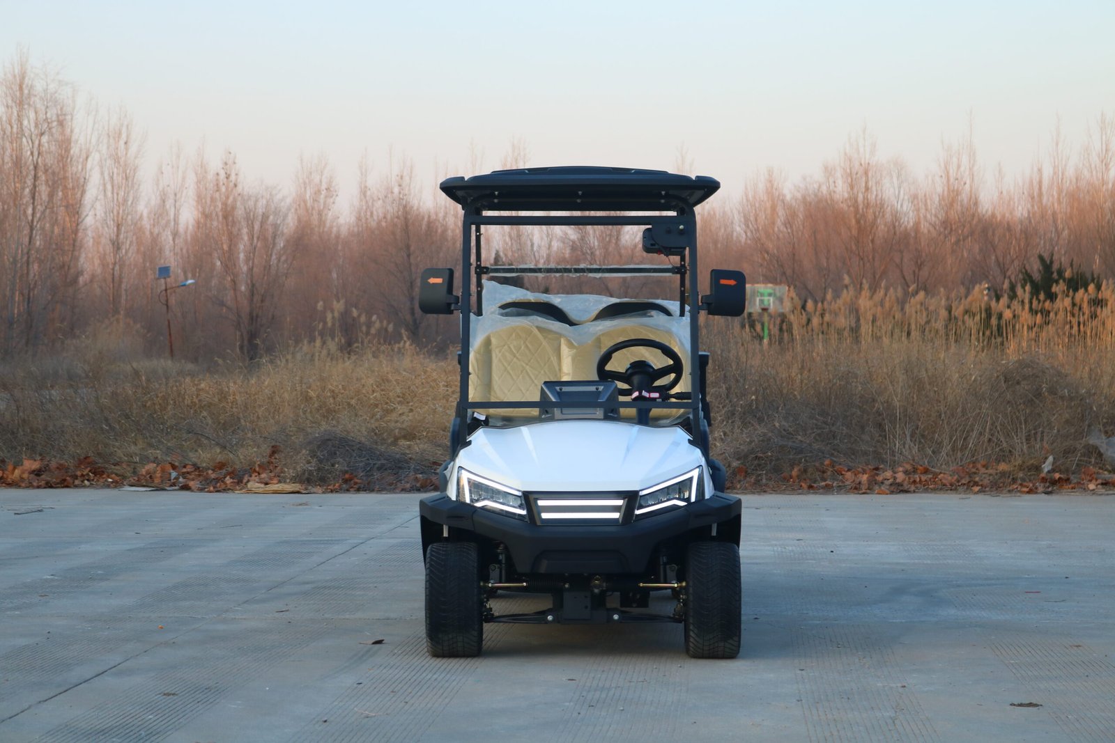 VR-D4+2 6-Seater Electric Golf Cart Enhanced Capacity with All-Terrain Performance - 图片 2