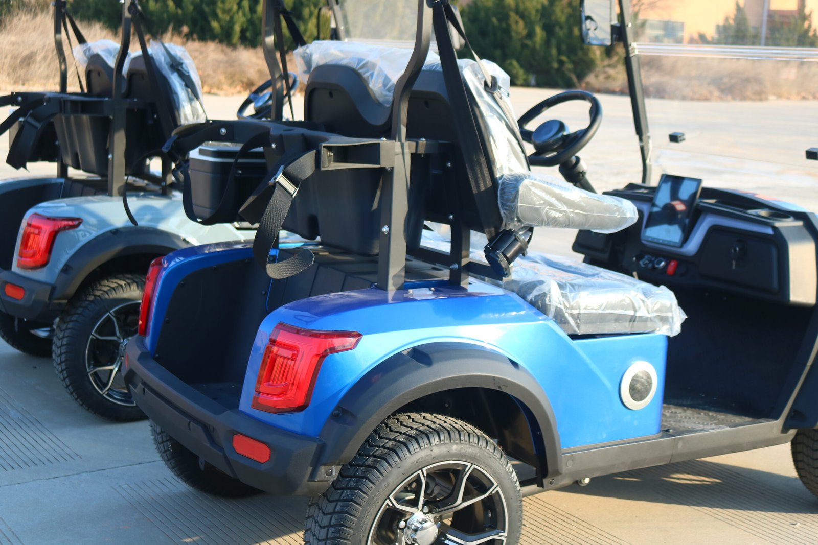 VR-D2 2-Seater Electric Golf Cart Compact and Capable Off-Road Performer - 图片 4