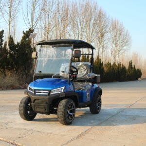 VR-D2 2-Seater Electric Golf Cart Compact and Capable Off-Road Performer