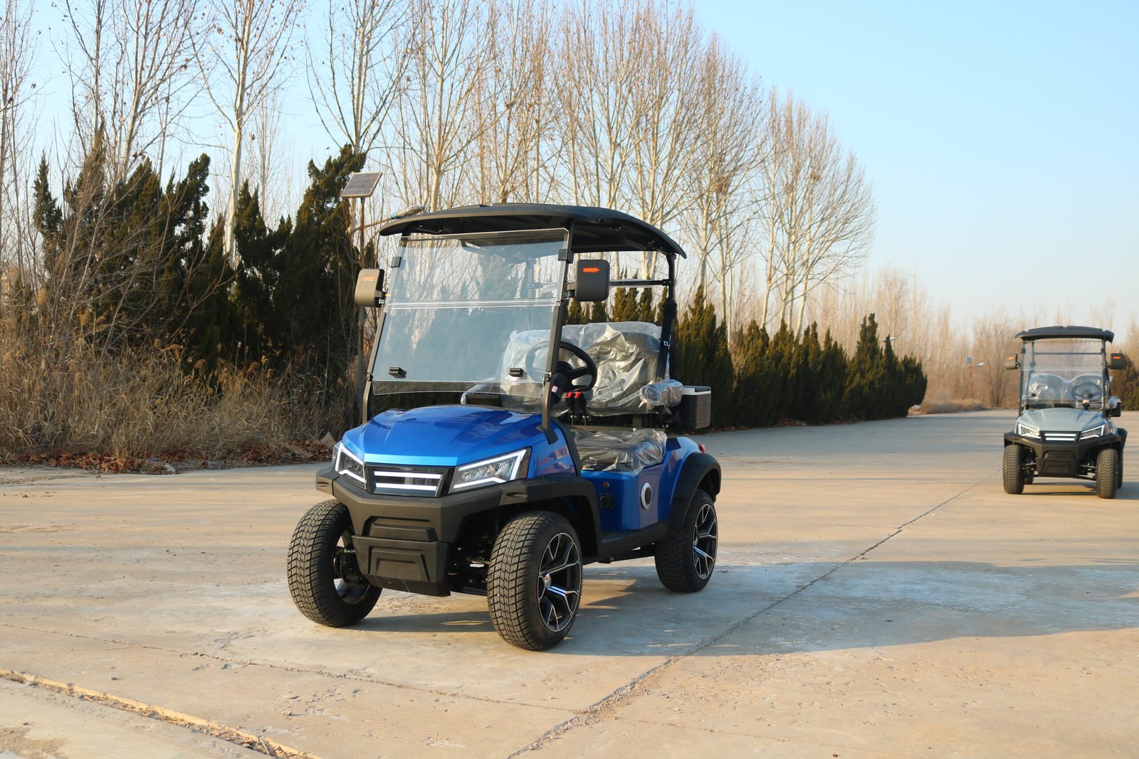 VR-D2 2-Seater Electric Golf Cart Compact and Capable Off-Road Performer