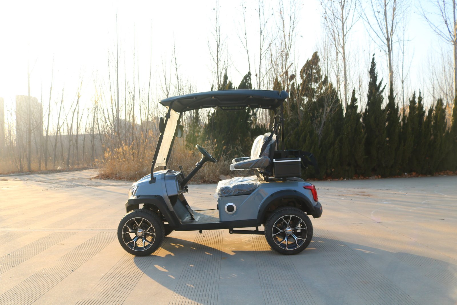 VR-D2 2-Seater Electric Golf Cart Compact and Capable Off-Road Performer - 图片 2