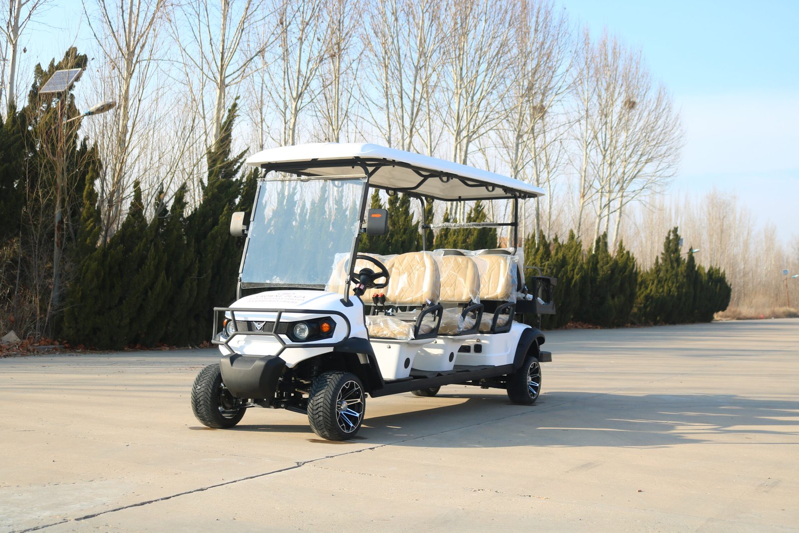 VR-F4+2 6-Seater Electric Golf Cart Versatile All-Terrain Performer - 图片 2