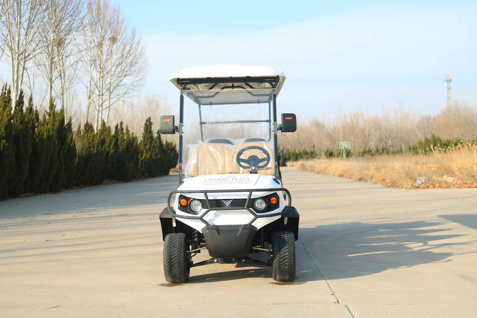 VR-F4+2 6-Seater Electric Golf Cart Versatile All-Terrain Performer