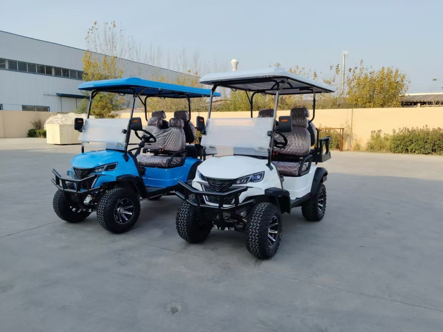 VR-C2 2-Seater Electric Golf Cart Compact, All-Terrain Performance - 图片 2