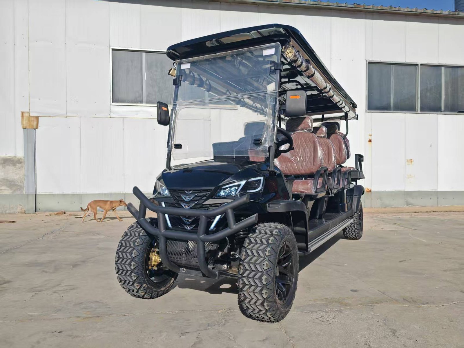 VR-C6+2 8-Seater Electric Golf Cart Maximum Capacity Meets All-Terrain Performance - 图片 2